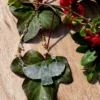 Collier oiseau de quartz – Image 4