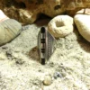 Bague Touareg en argent gravée et ébène – Image 2