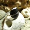 Bague Touareg en argent et ébène – Image 2