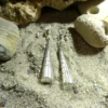Boucles d'oreille Touareg en argent 2. – Image 2