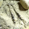 Boucles d'oreille Touareg en argent et ébène. – Image 2