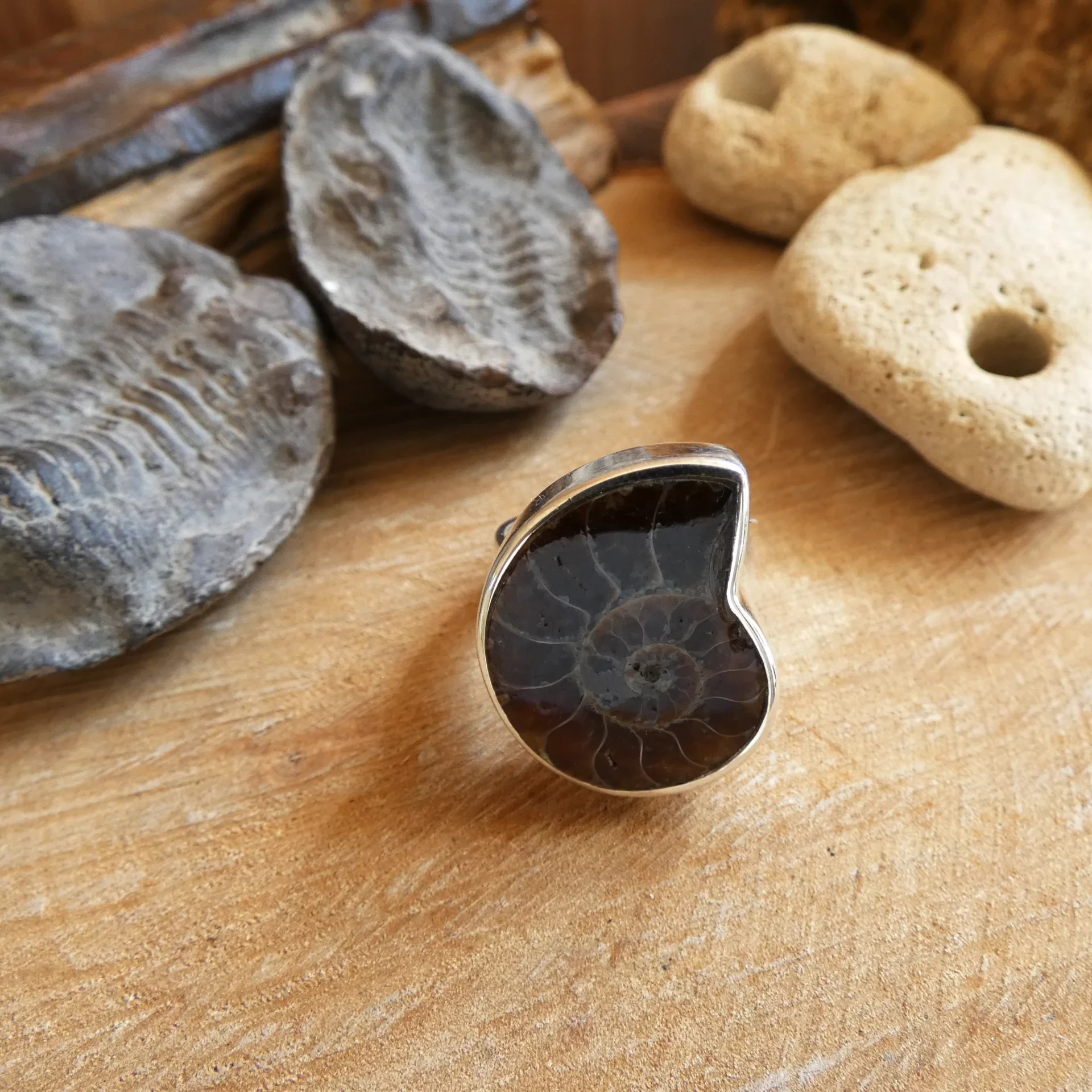 Bague Arte Fact argent et fossile d'amonite