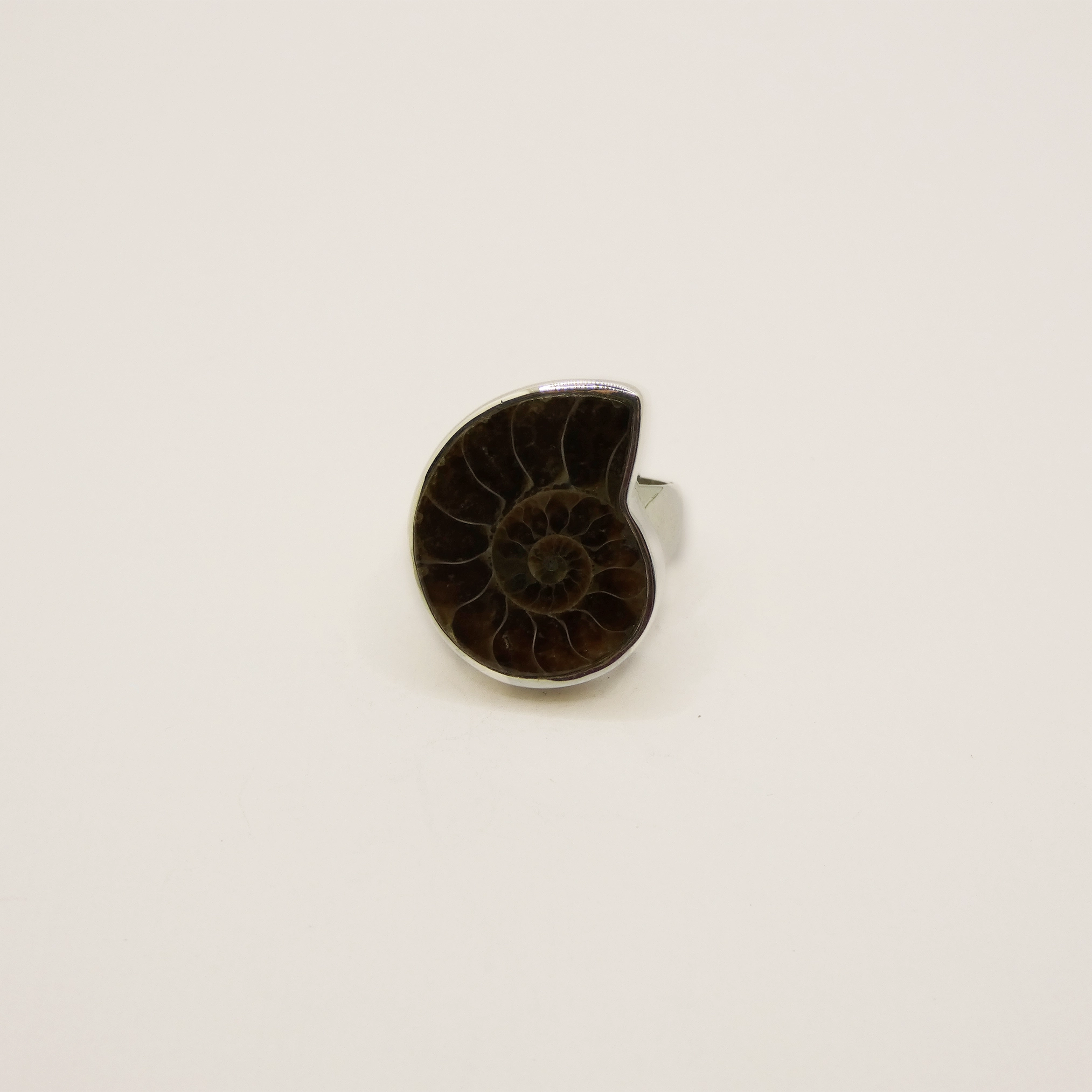 Bague Arte Fact argent et fossile d'amonite